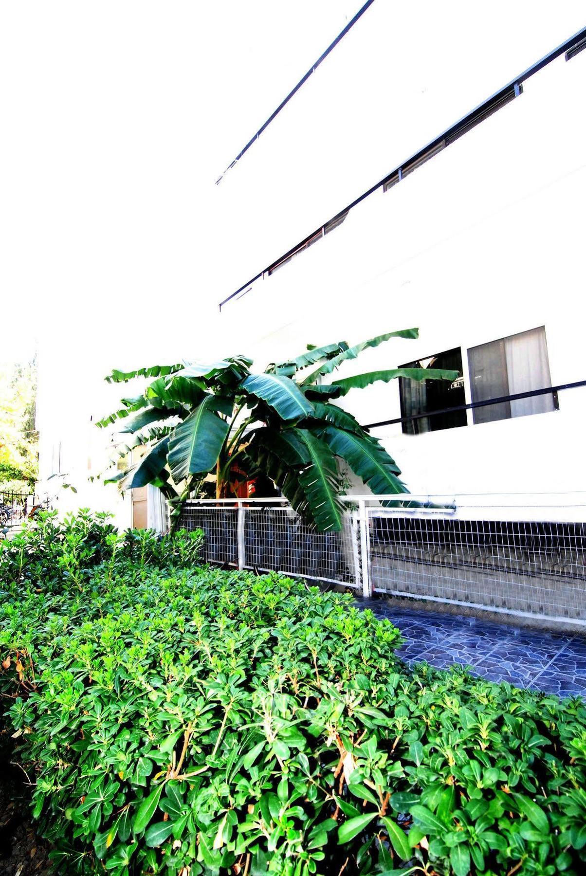 העיירה קוס Aegeon Hotel - Adults Only מראה חיצוני תמונה
